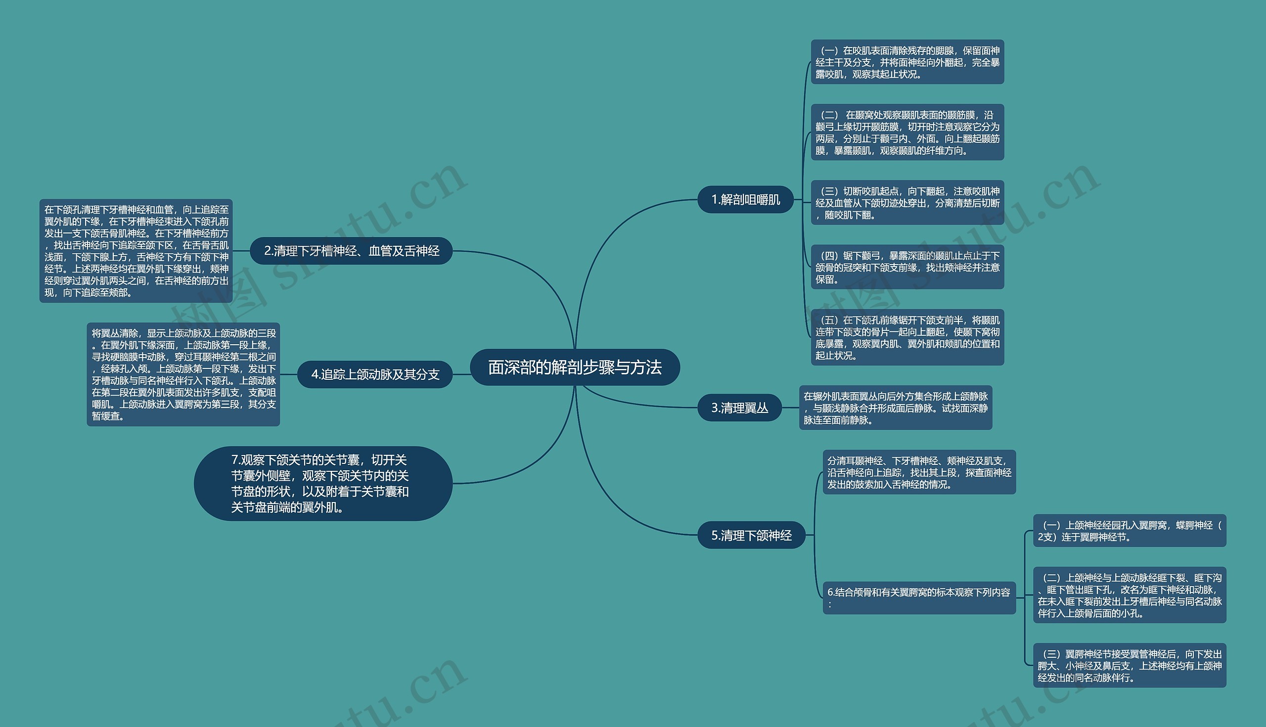 面深部的解剖步骤与方法思维导图