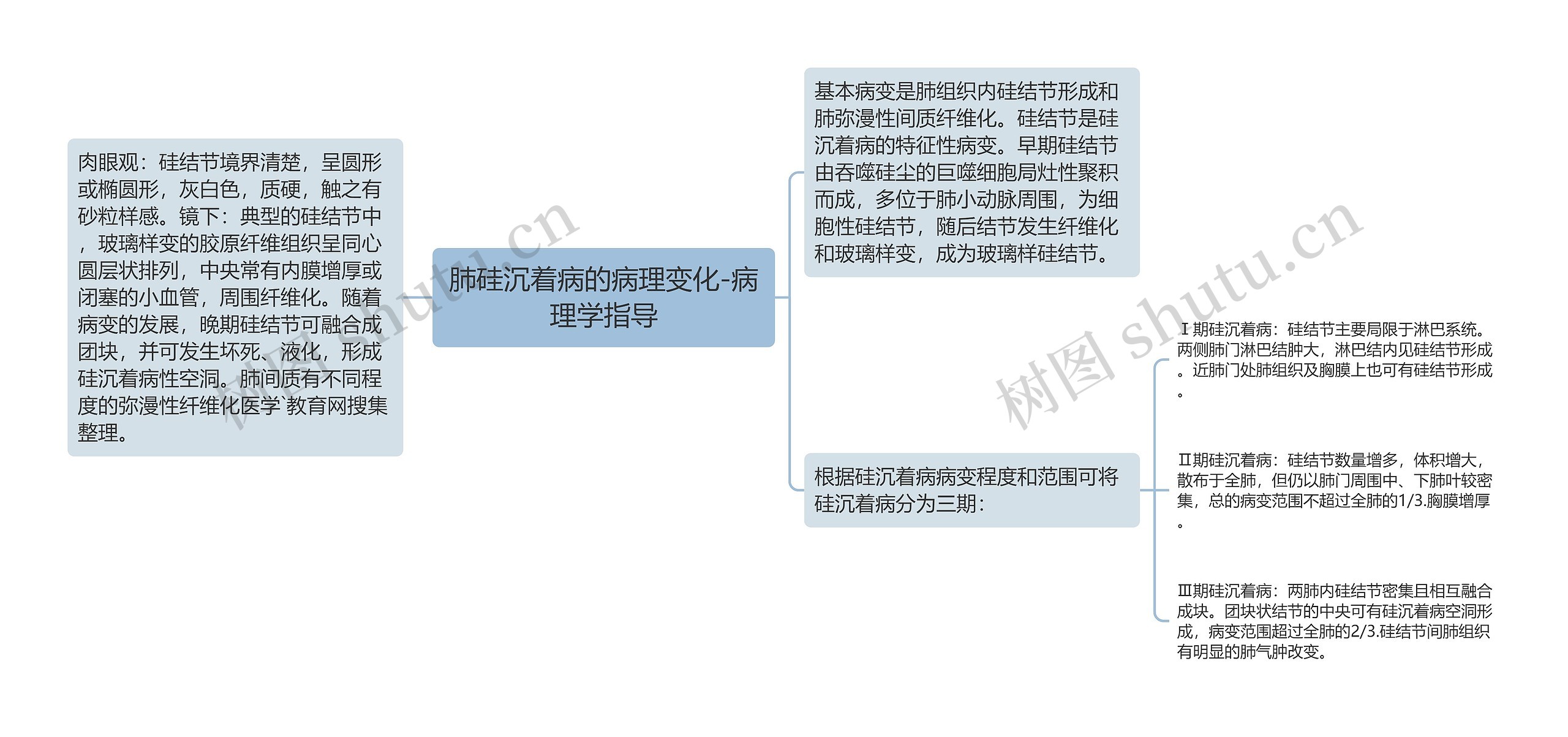 肺硅沉着病的病理变化-病理学指导思维导图