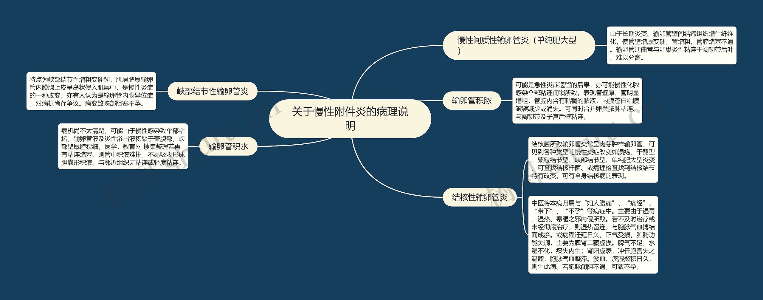 关于慢性附件炎的病理说明