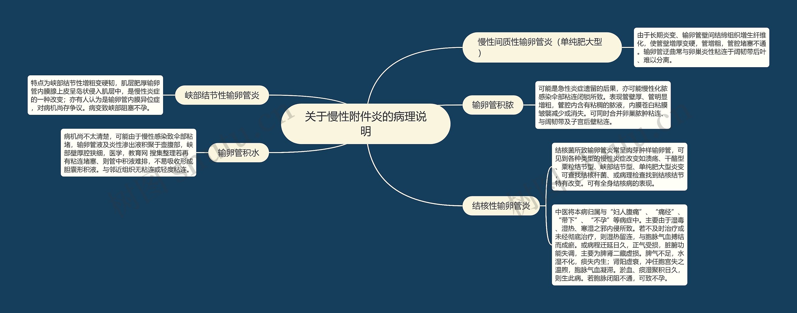 关于慢性附件炎的病理说明思维导图