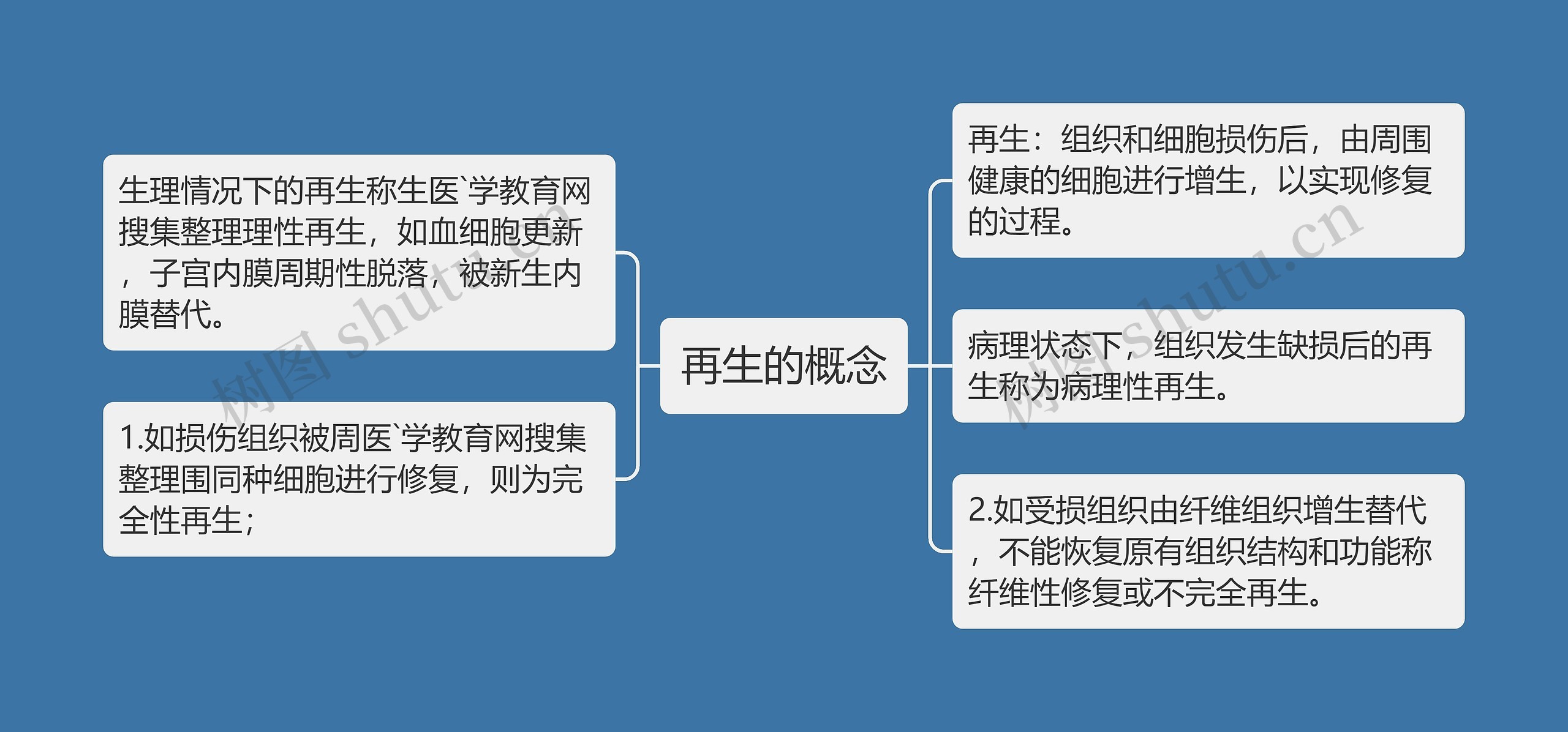 再生的概念思维导图