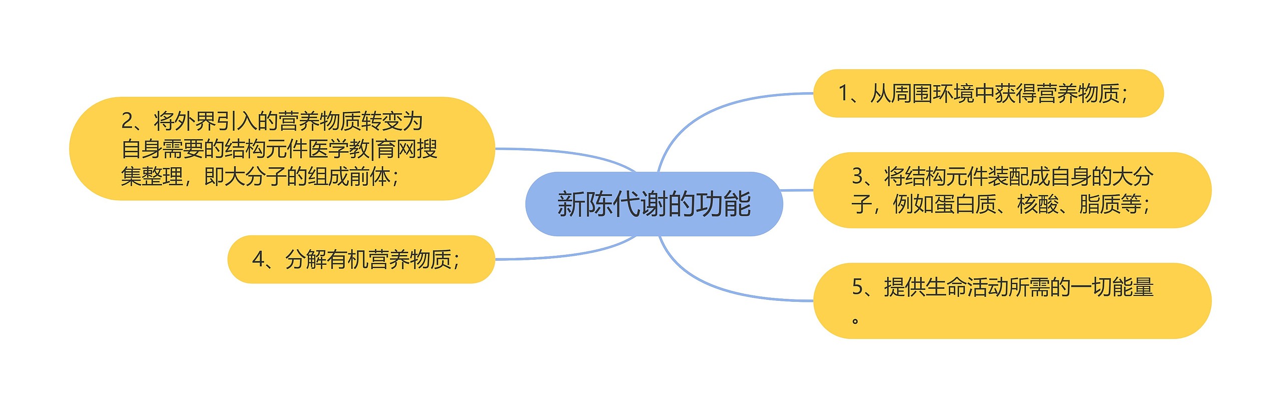 新陈代谢的功能思维导图