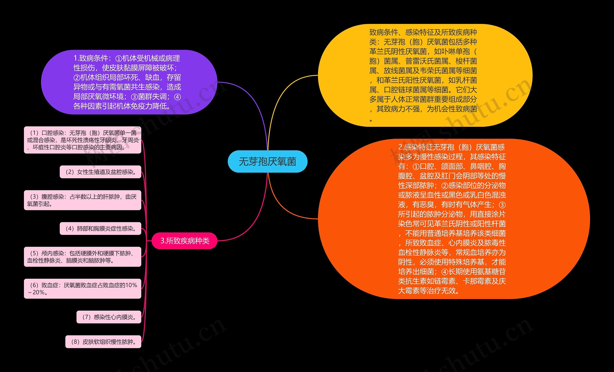 无芽孢厌氧菌思维导图