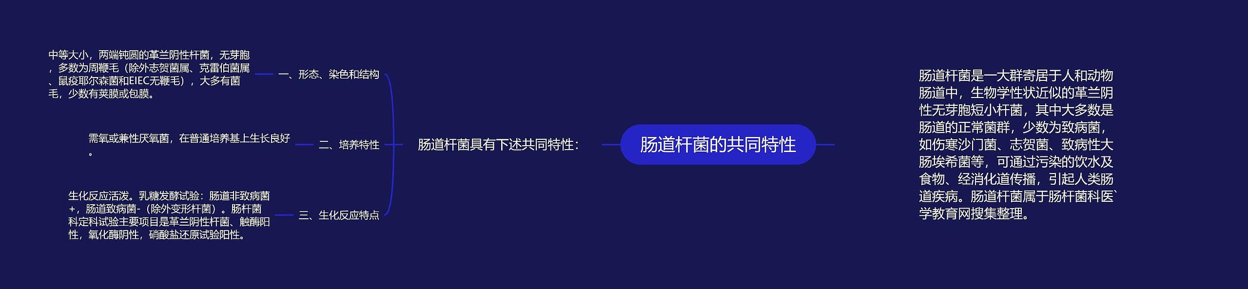 肠道杆菌的共同特性