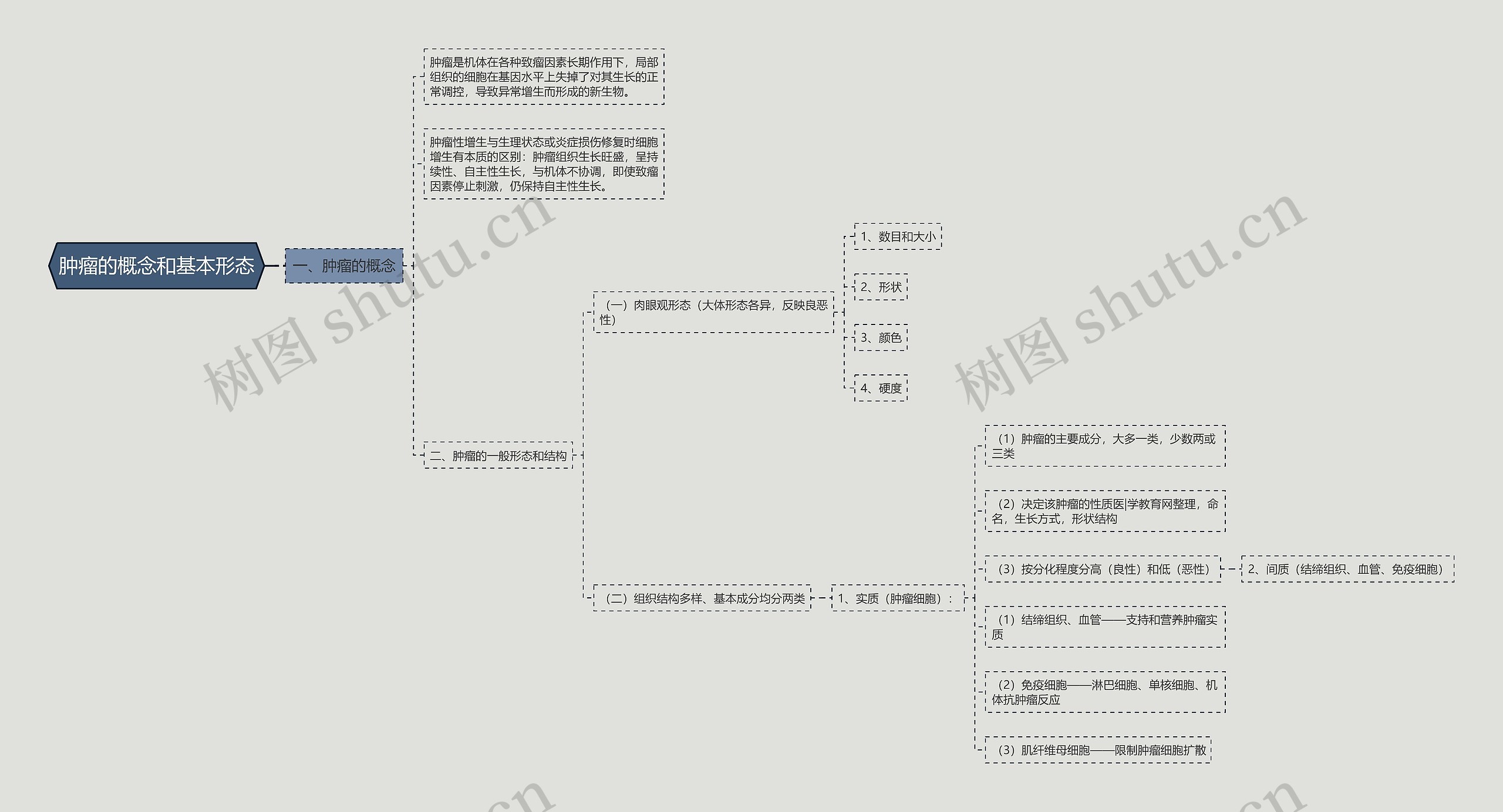 肿瘤的概念和基本形态