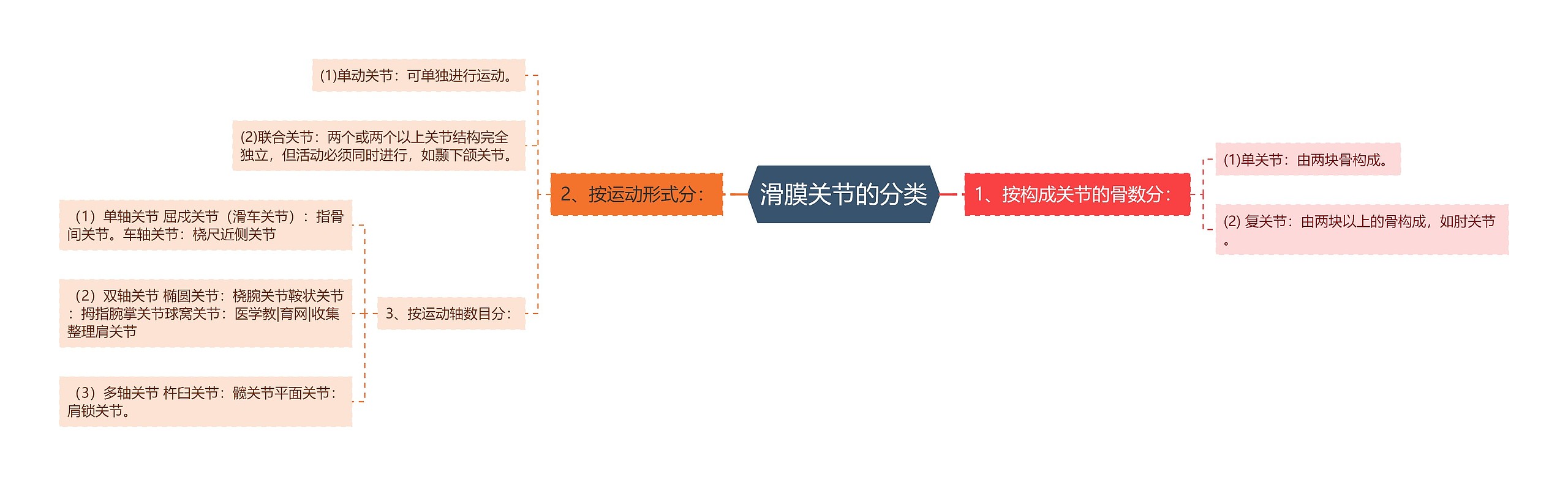 滑膜关节的分类 滑膜关节的分类