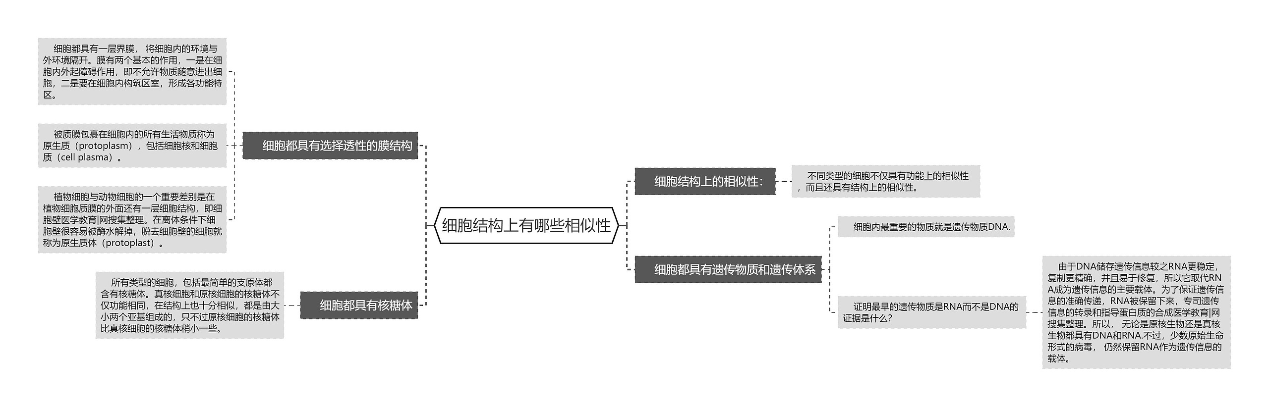 细胞结构上有哪些相似性