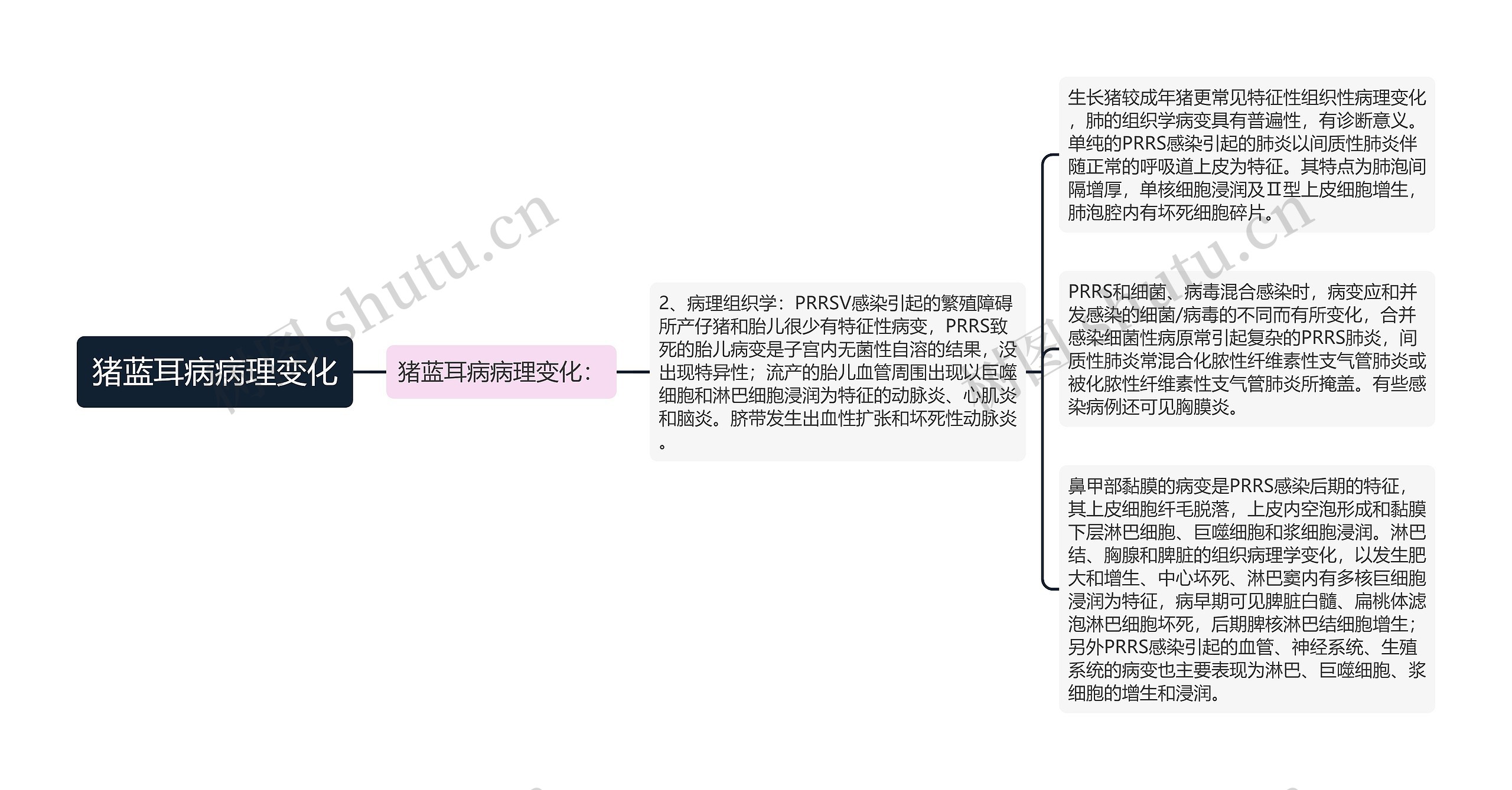 猪蓝耳病病理变化