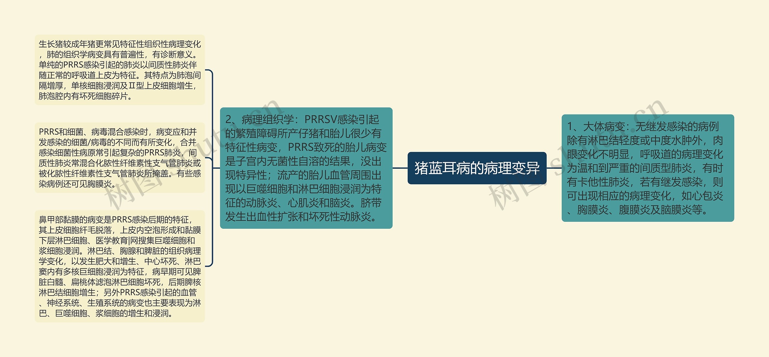 猪蓝耳病的病理变异