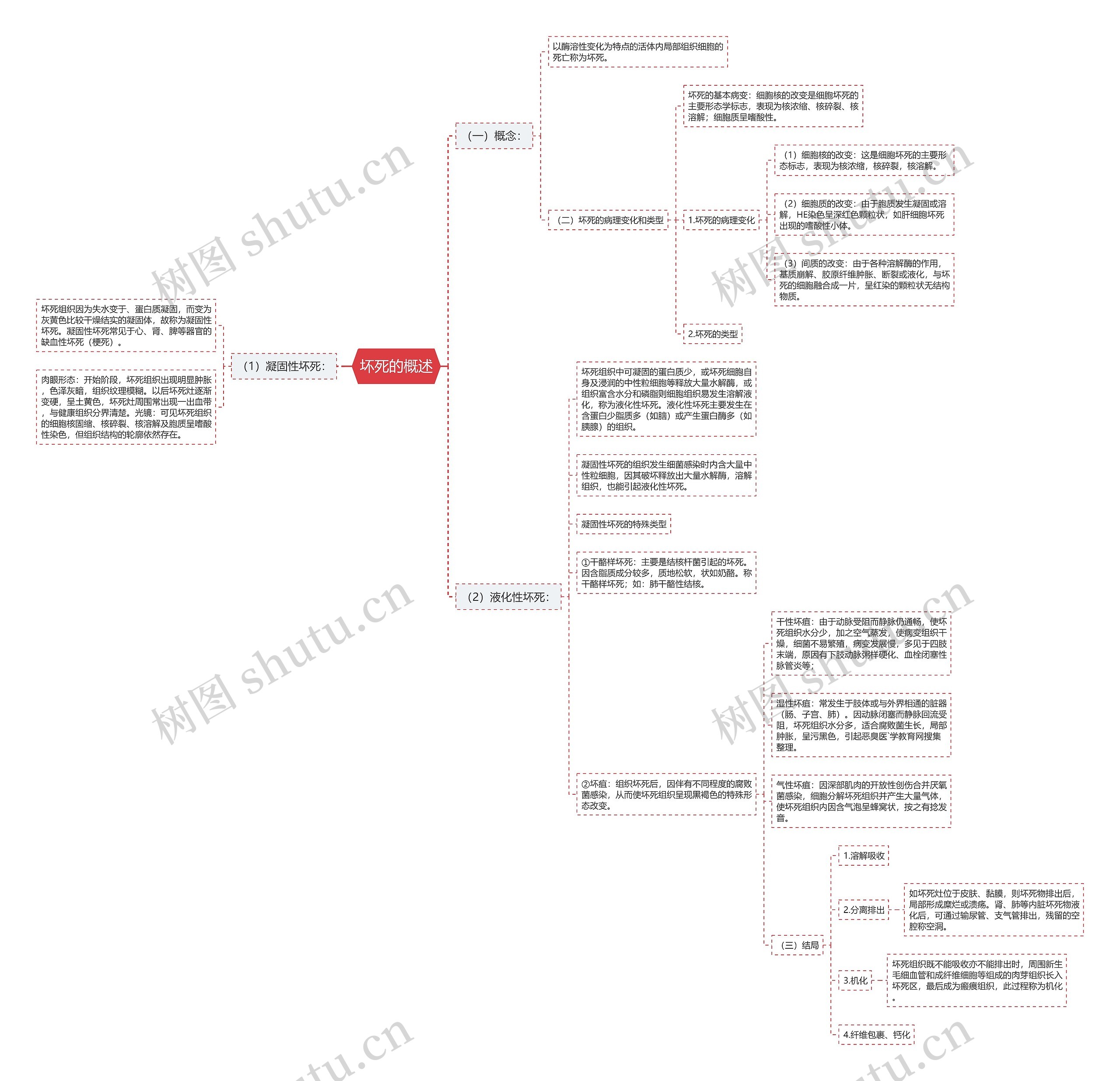 坏死的概述思维导图