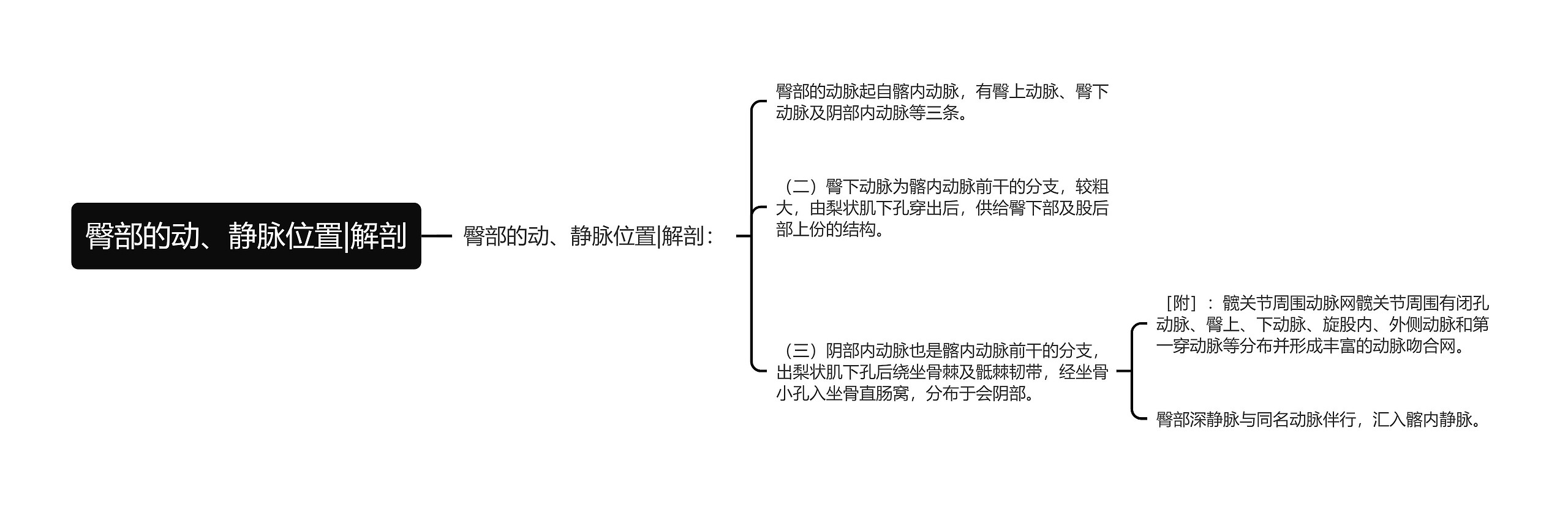 臀部的动、静脉位置|解剖