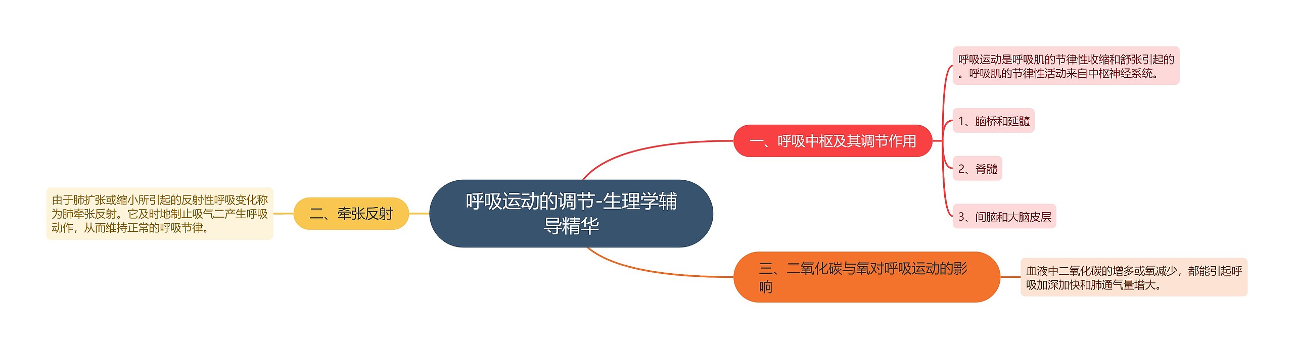 呼吸运动的调节-生理学辅导精华