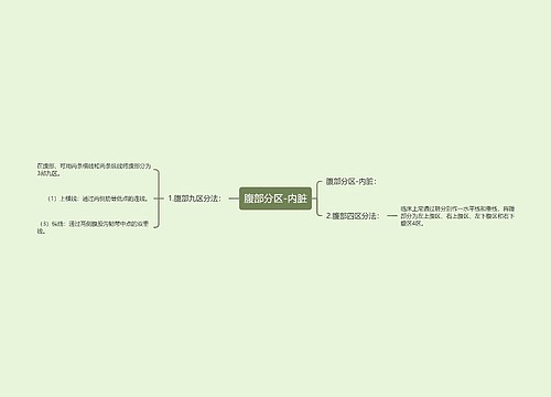 腹部分区-内脏