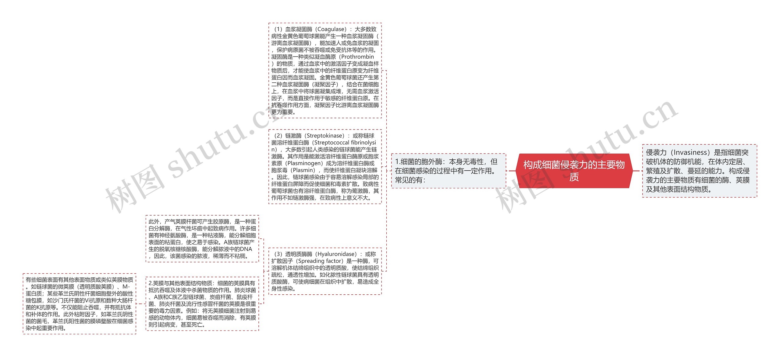 构成细菌侵袭力的主要物质思维导图