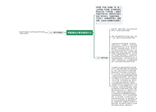 呼吸道的主要功能是什么