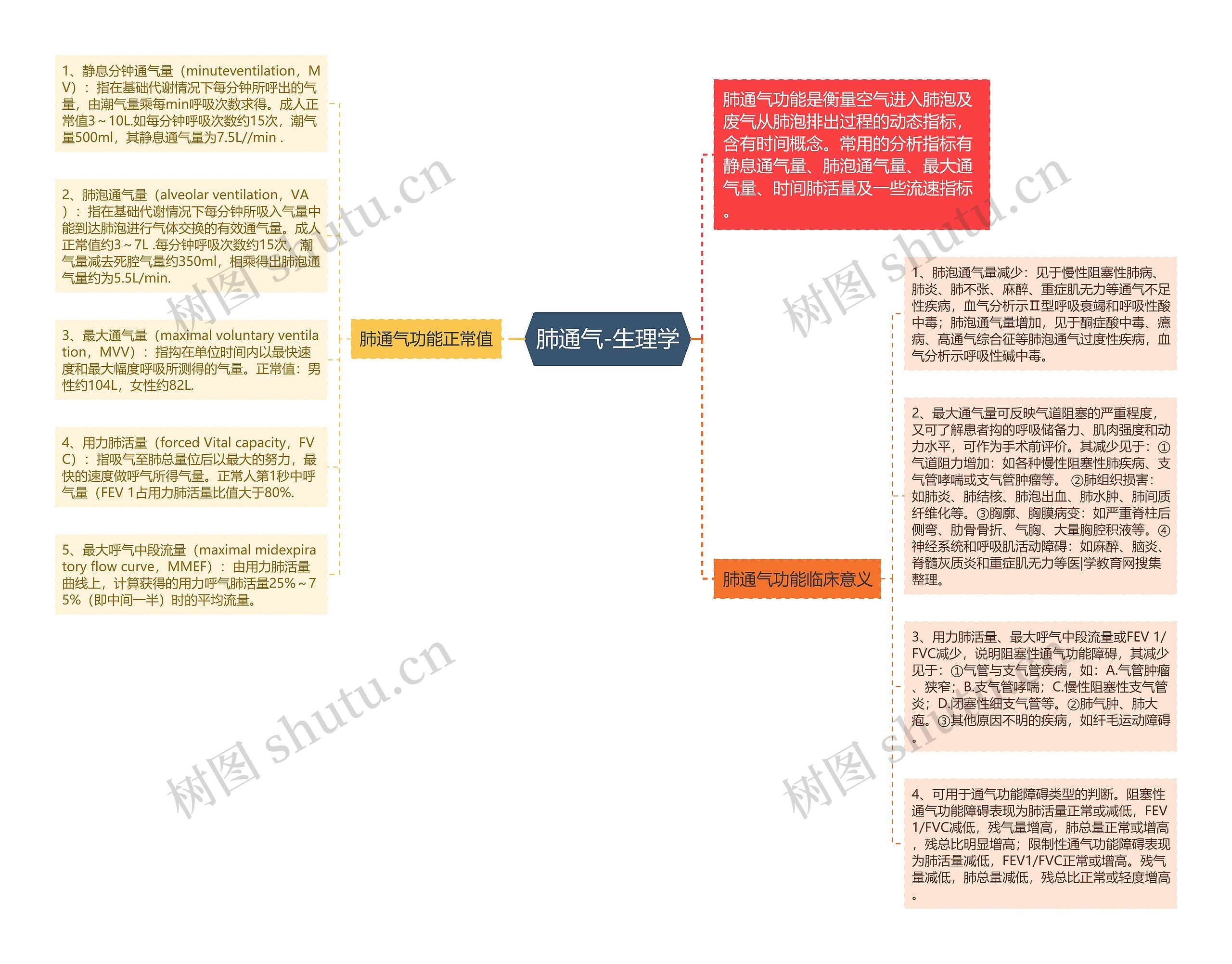 肺通气-生理学 肺通气-生理学