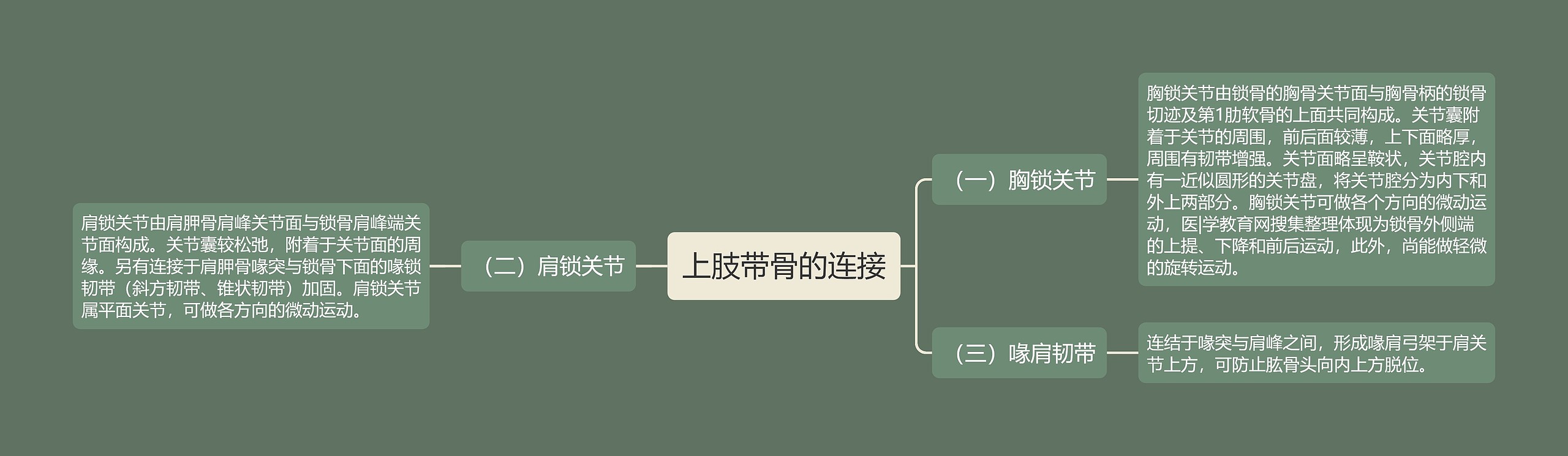 上肢带骨的连接 上肢带骨的连接