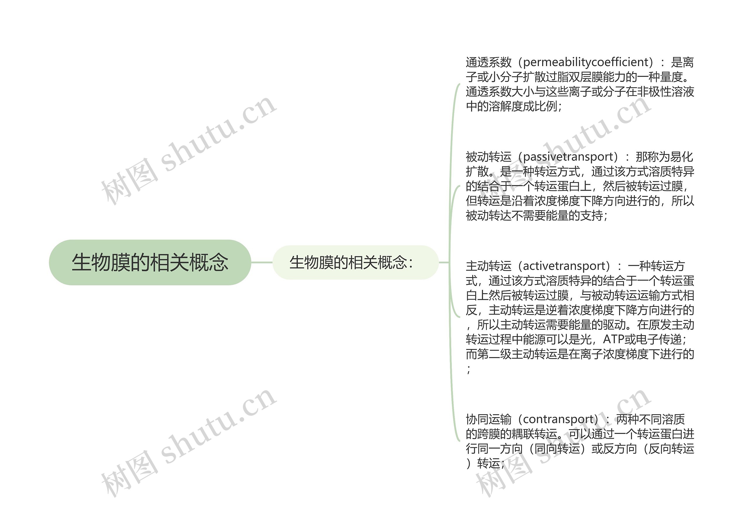 生物膜的相关概念思维导图