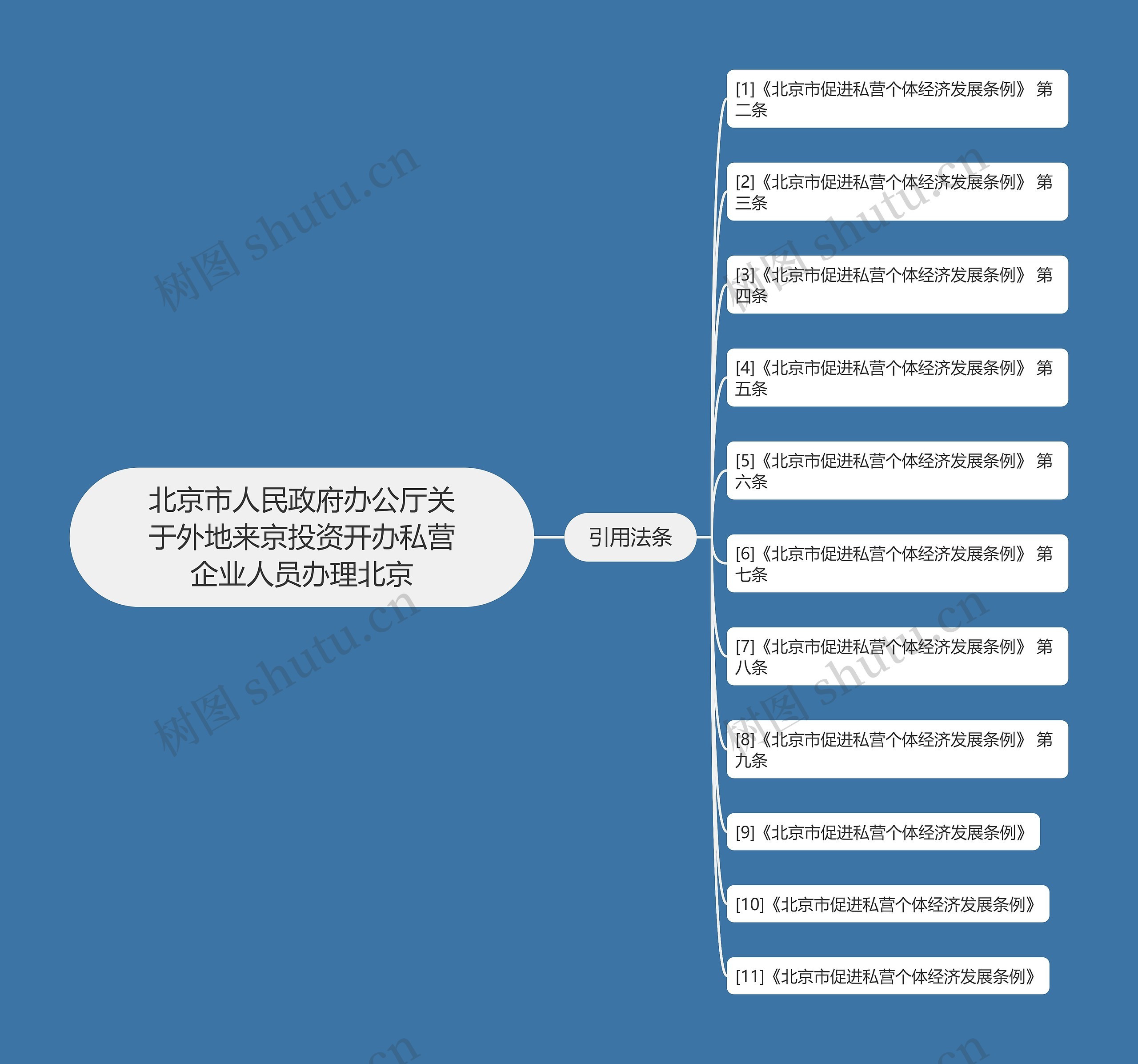 市人民政府办公厅关于外地来京投资开办私营企业人员办理北京思维导图