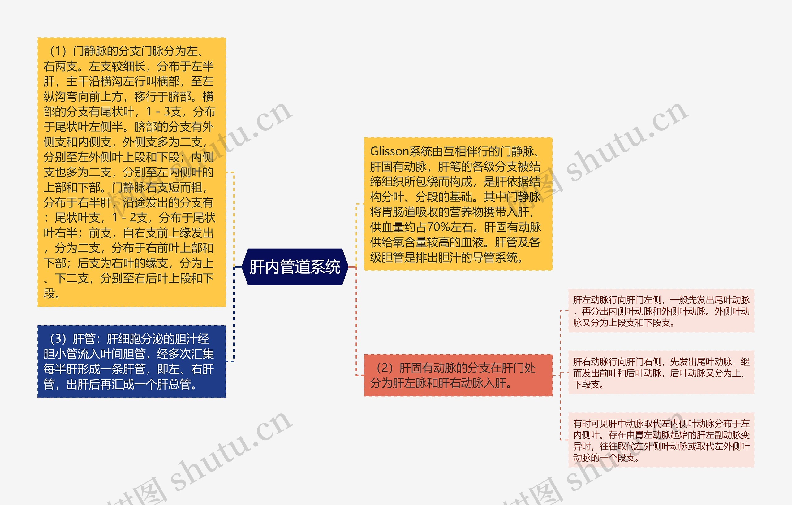 肝内管道系统