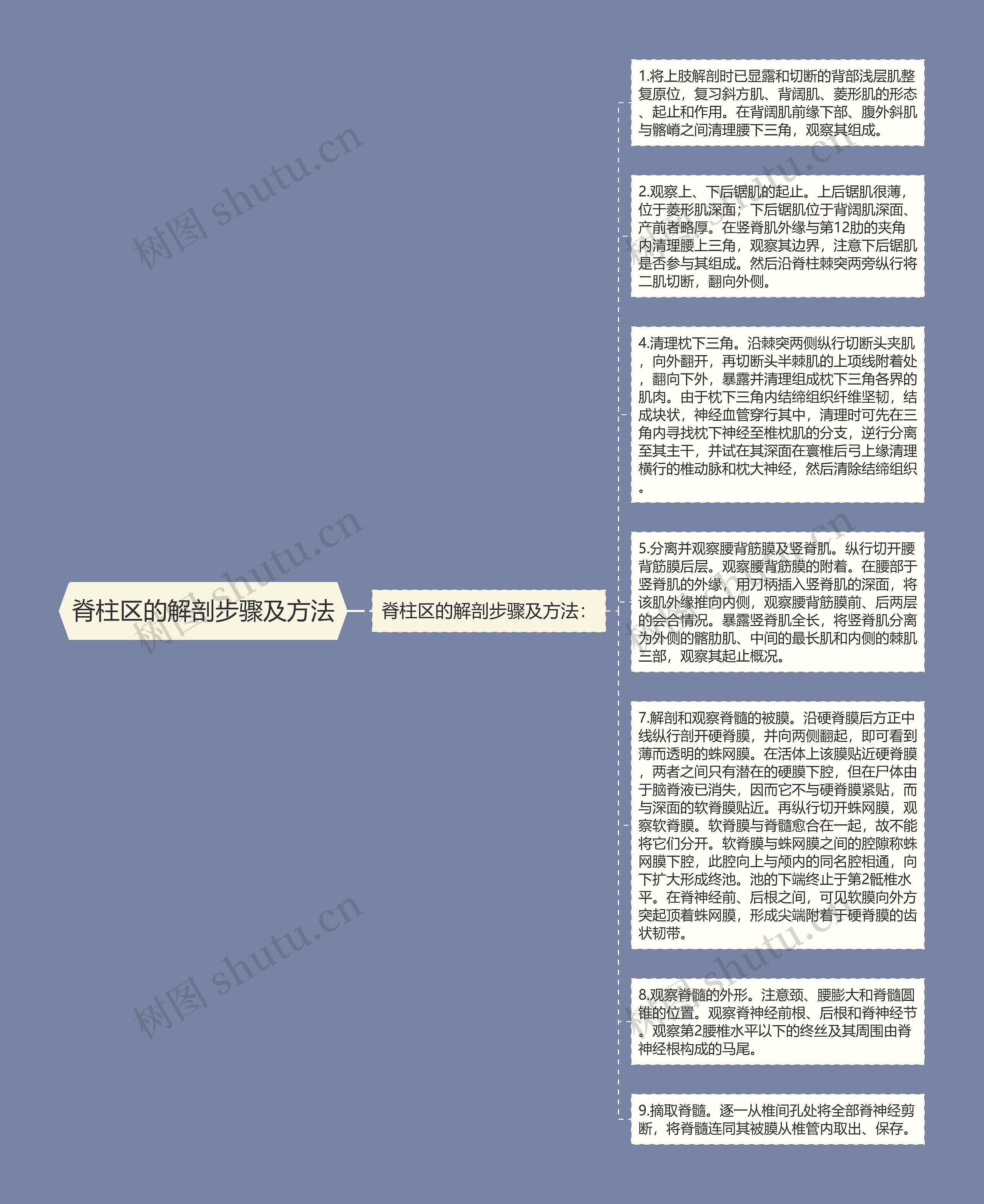 脊柱区的解剖步骤及方法思维导图