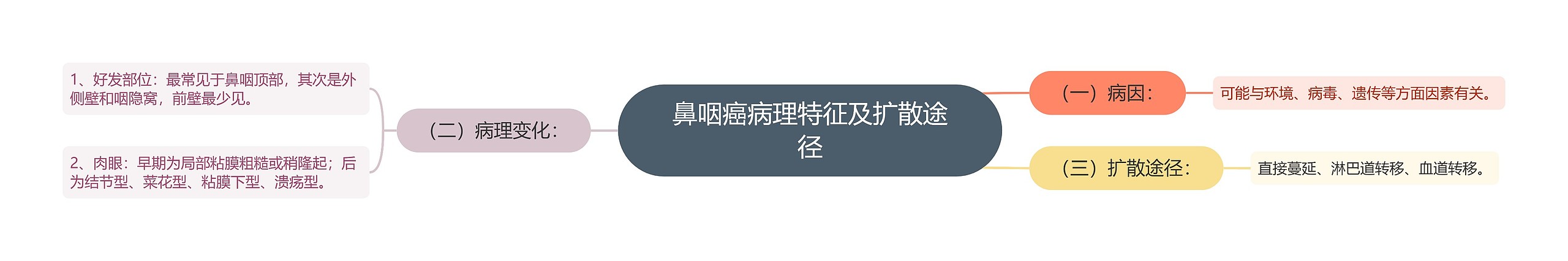 鼻咽癌病理特征及扩散途径 鼻咽癌病理特征及扩散途径