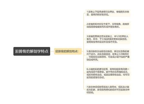 胫腓骨的解剖学特点