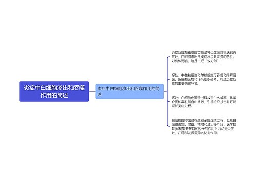 炎症中白细胞渗出和吞噬作用的简述