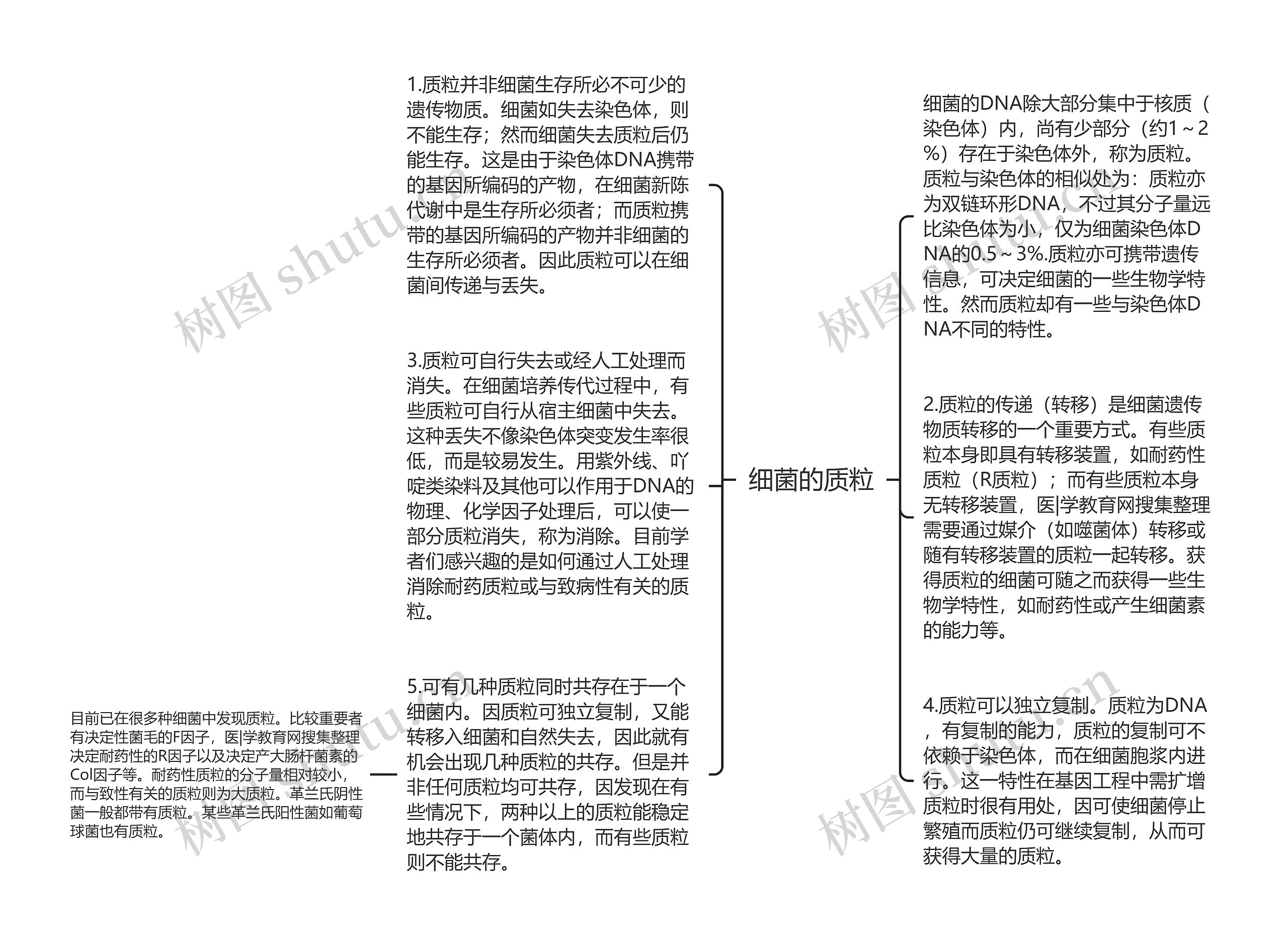 细菌的质粒