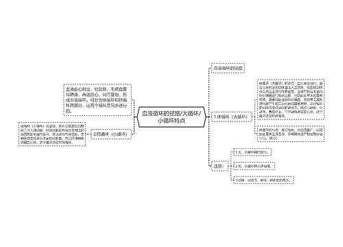 血液循环的径路/大循环/小循环特点