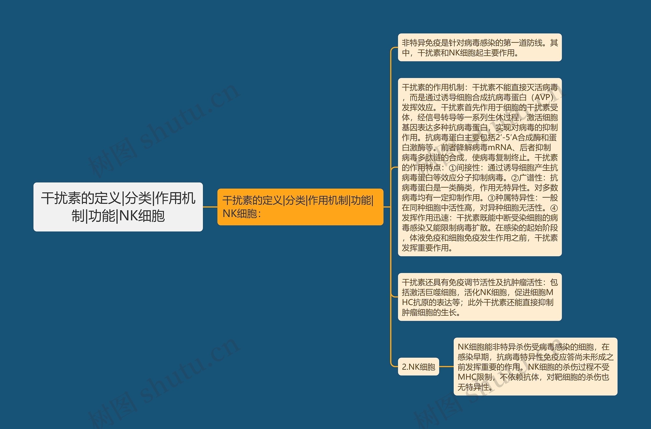 干扰素的定义|分类|作用机制|功能|NK细胞思维导图