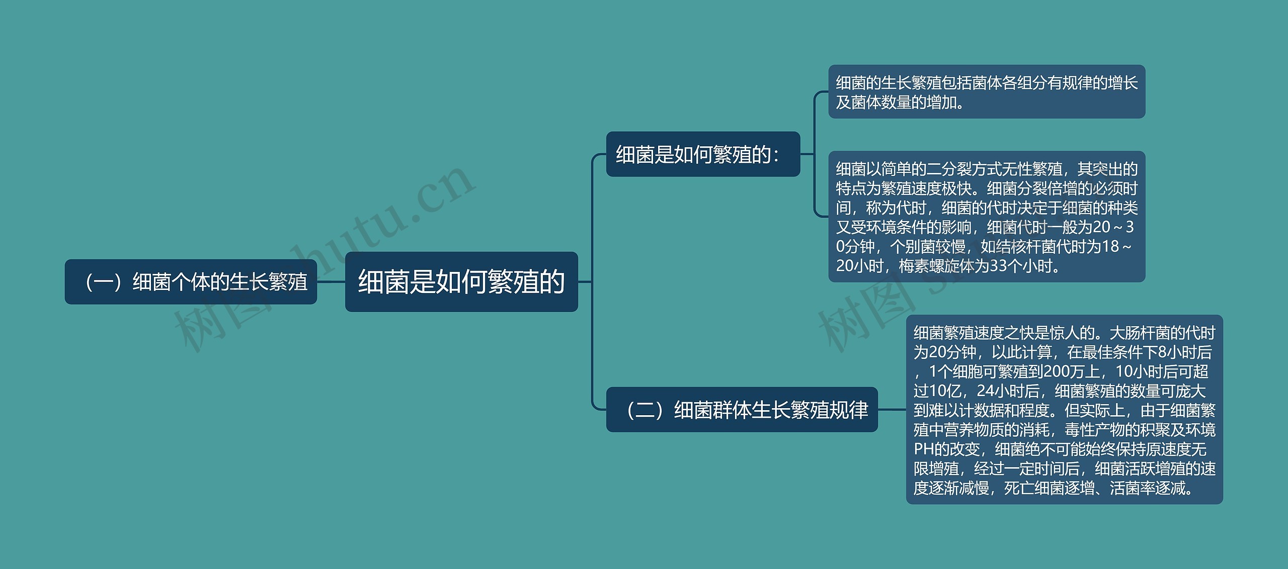 细菌是如何繁殖的思维导图