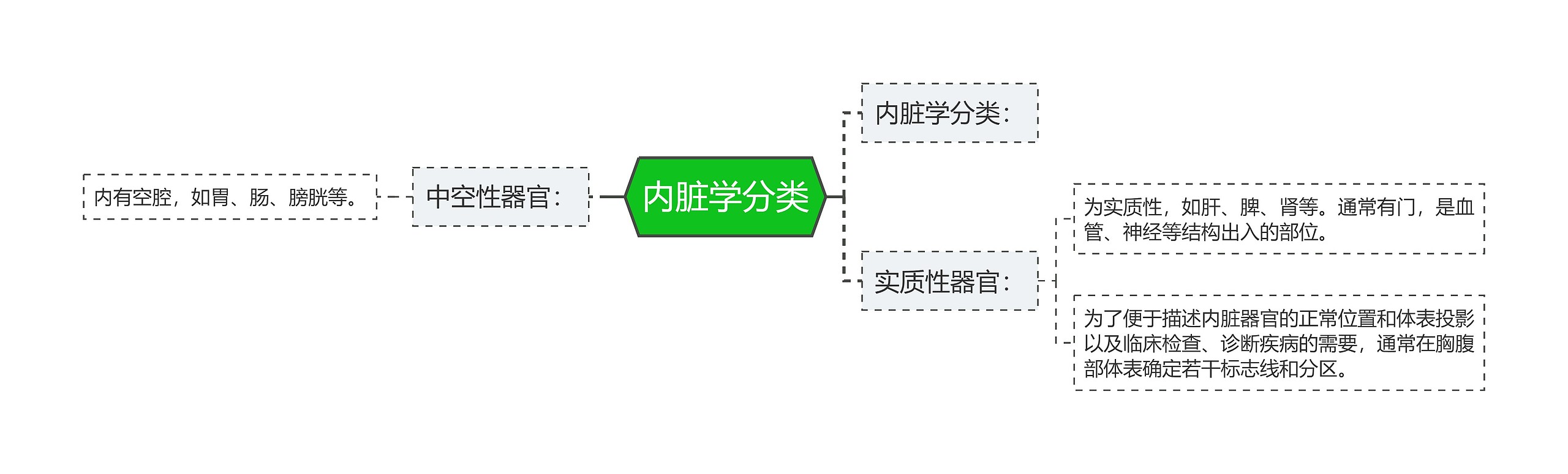 内脏学分类