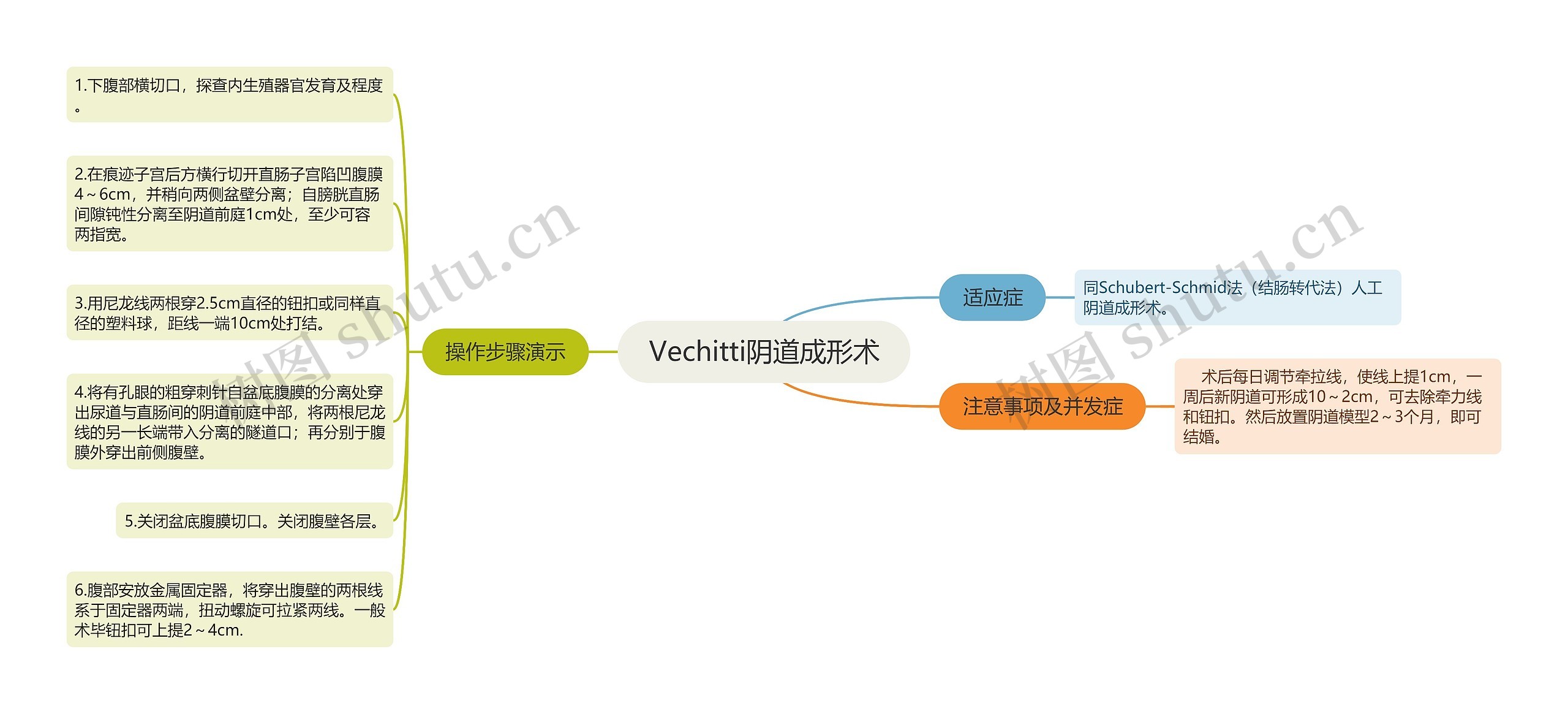 Vechitti阴道成形术思维导图