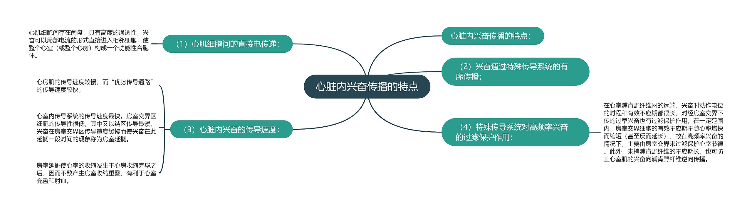 心脏内兴奋传播的特点 心脏内兴奋传播的特点