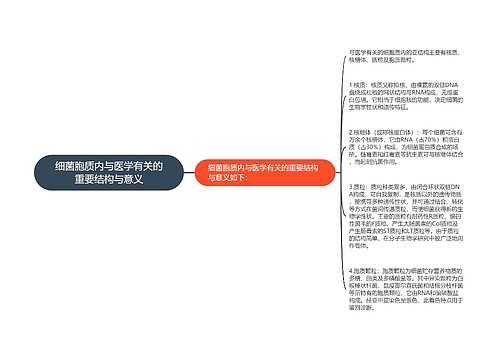 细菌胞质内与医学有关的重要结构与意义