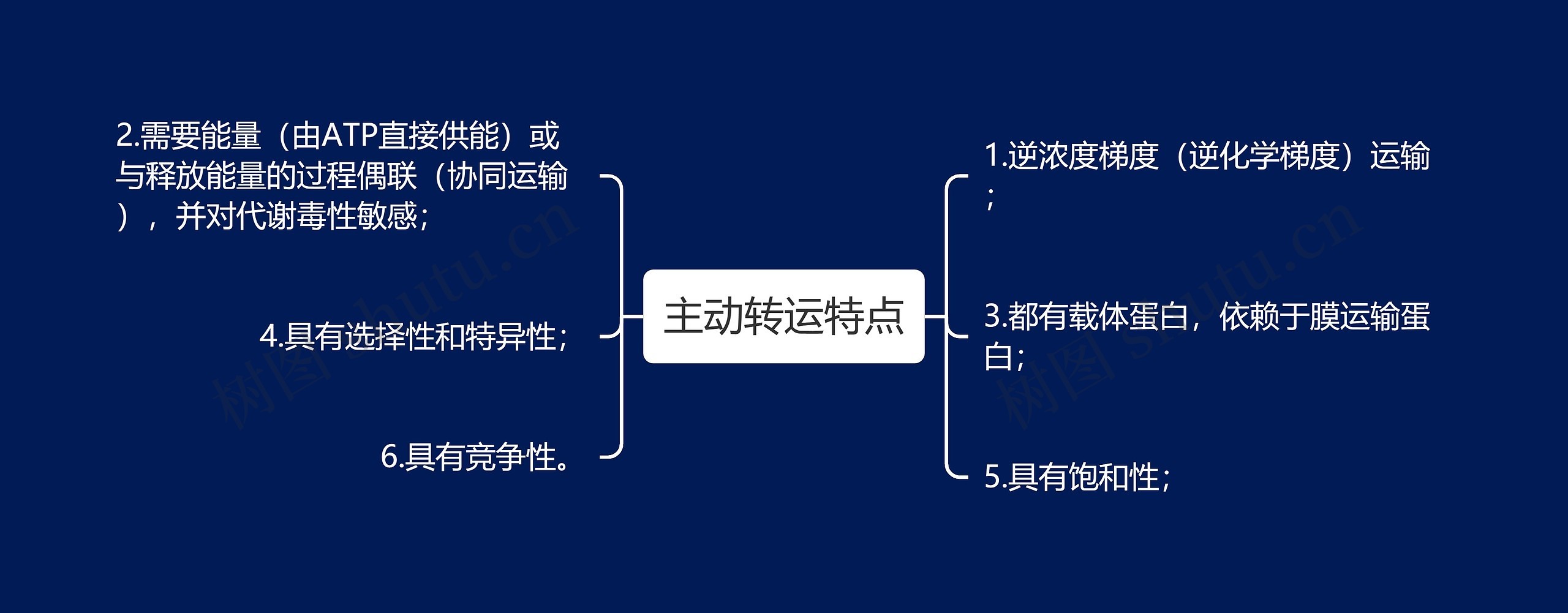 主动转运特点思维导图