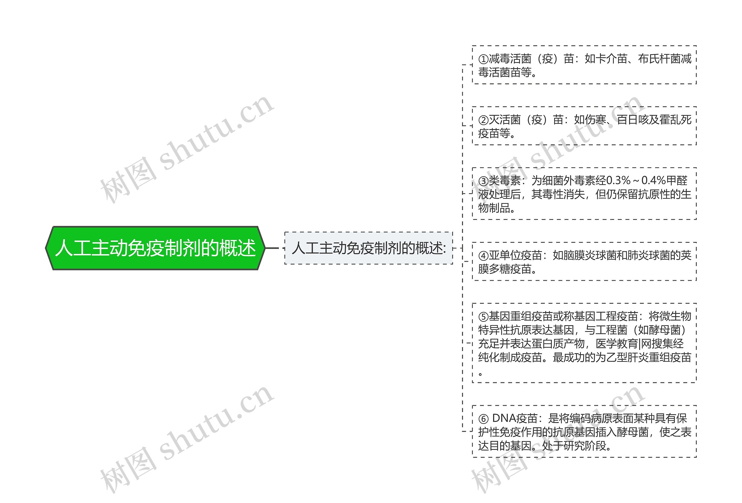 人工主动免疫制剂的概述 人工主动免疫制剂的概述