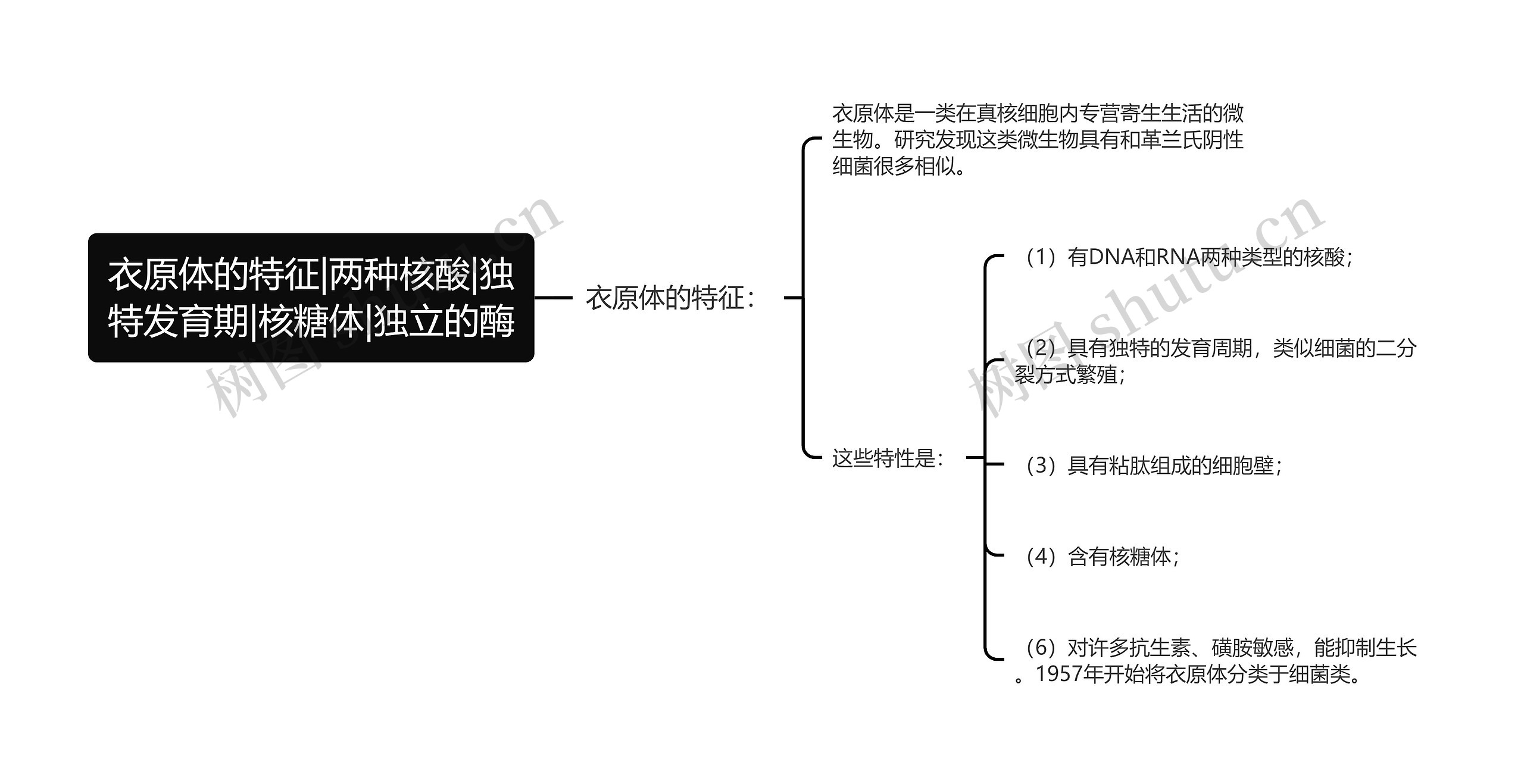 衣原体的特征|两种核酸|独特发育期|核糖体|独立的酶