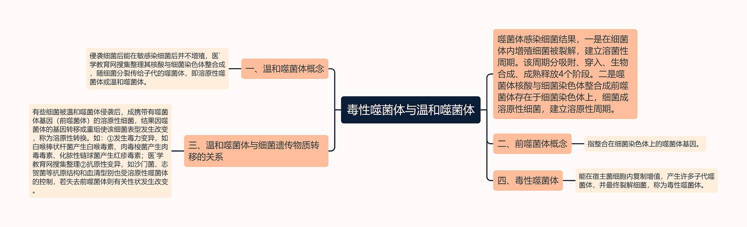 毒性噬菌体与温和噬菌体思维导图