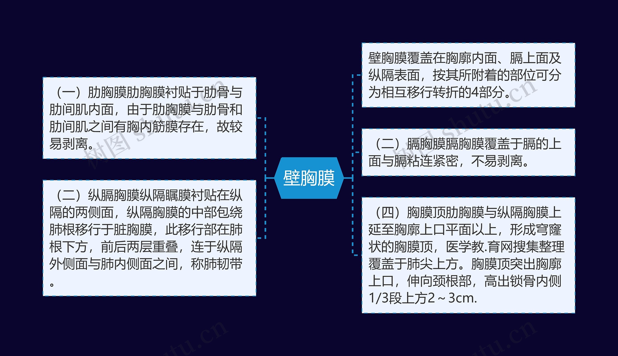 壁胸膜思维导图