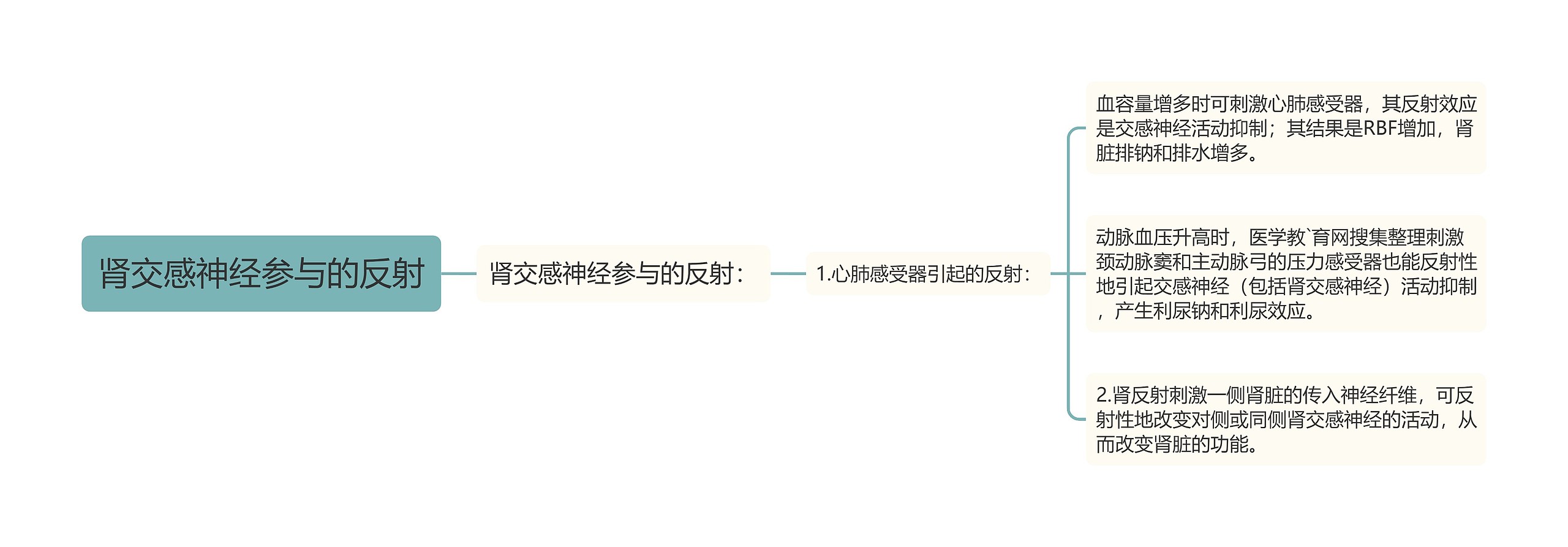 肾交感神经参与的反射 肾交感神经参与的反射