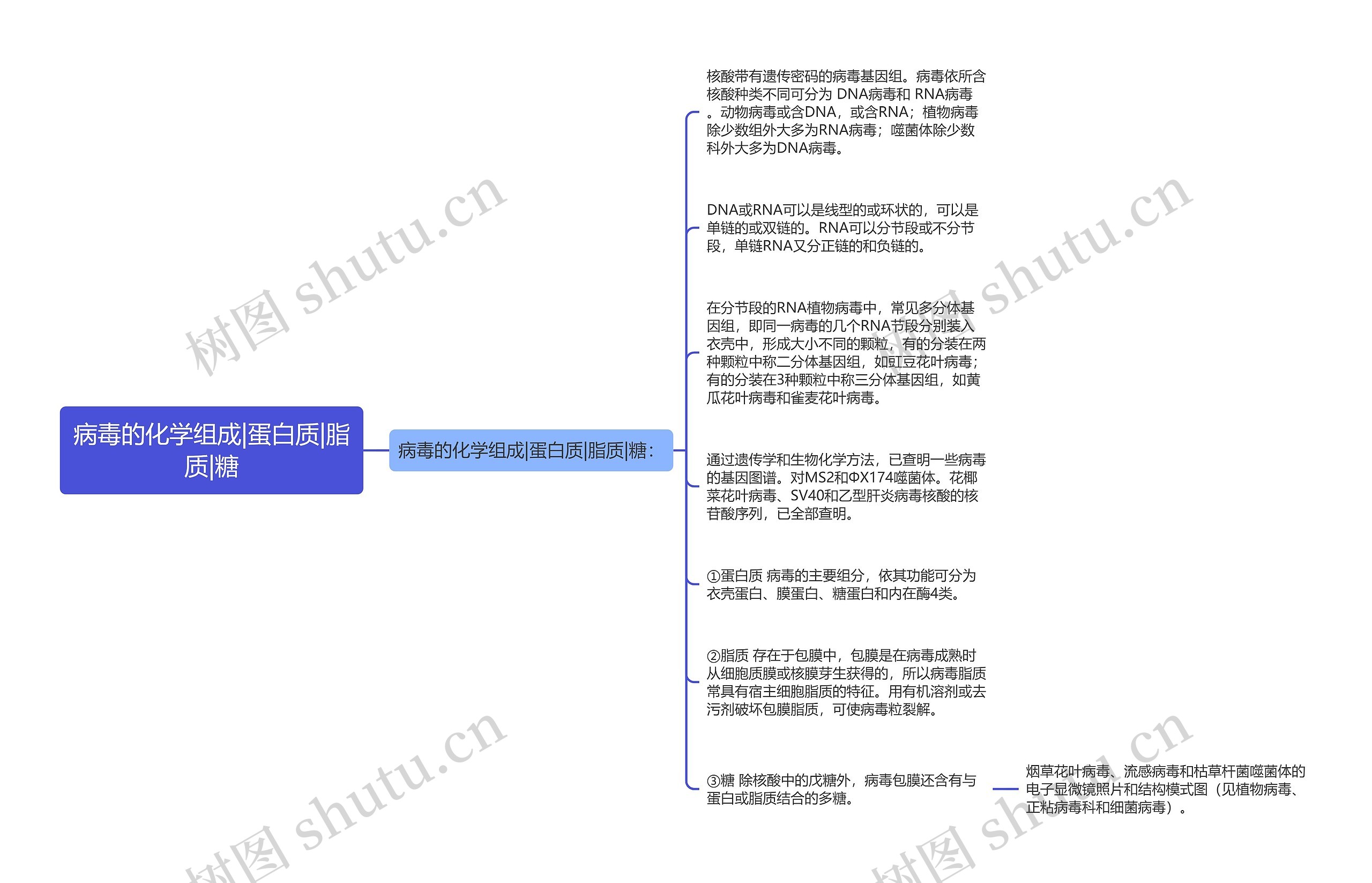 病毒的化学组成|蛋白质|脂质|糖