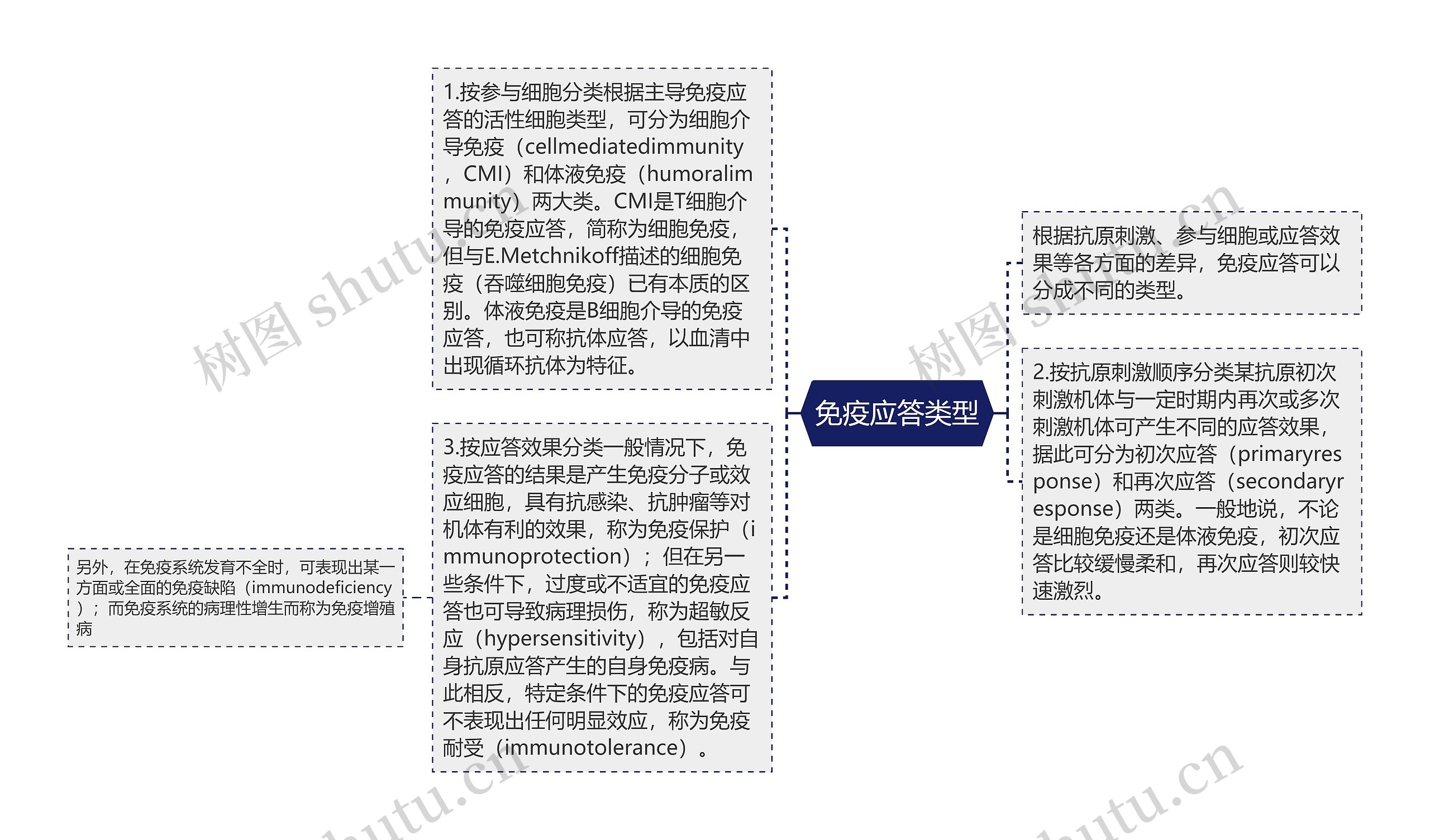 免疫应答类型思维导图