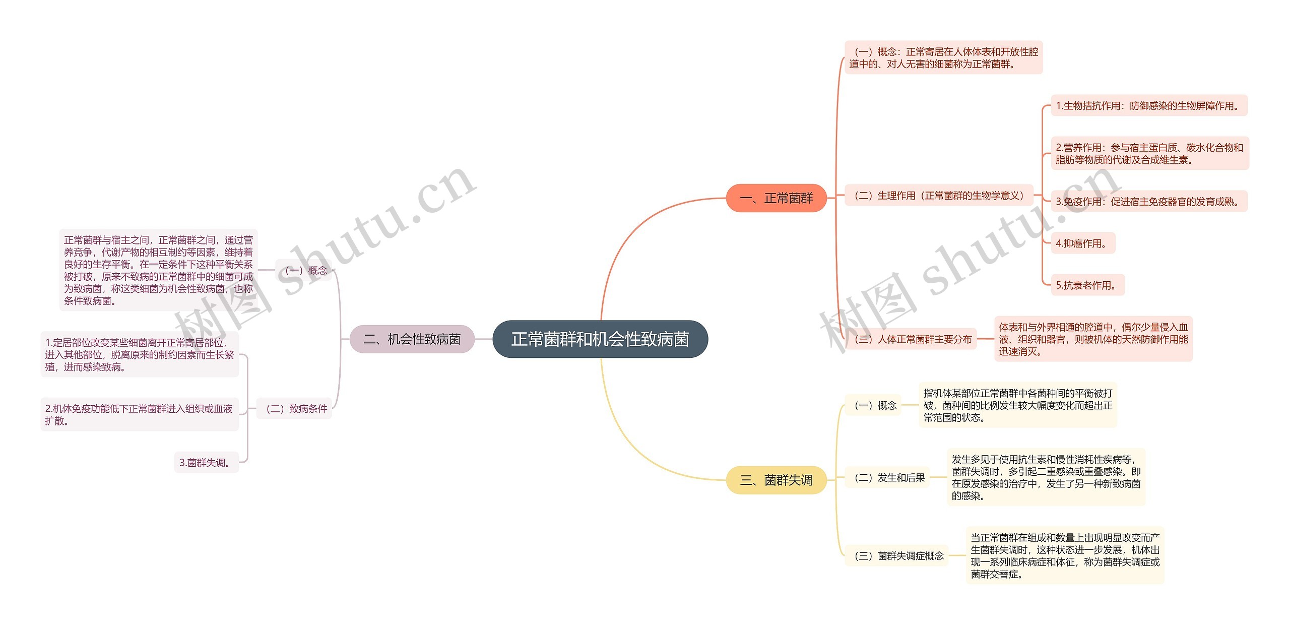 正常菌群和机会性致病菌思维导图