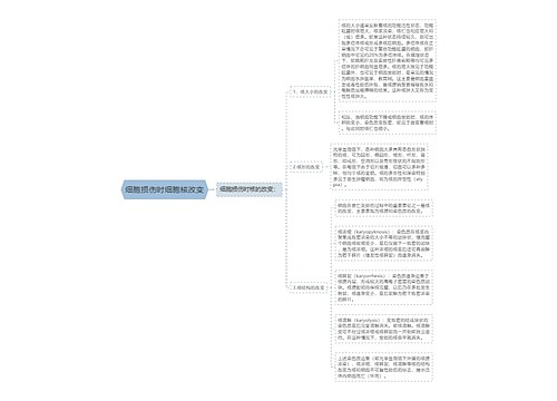 细胞损伤时细胞核改变