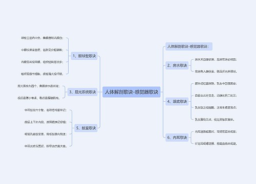 人体解剖歌诀-感觉器歌诀