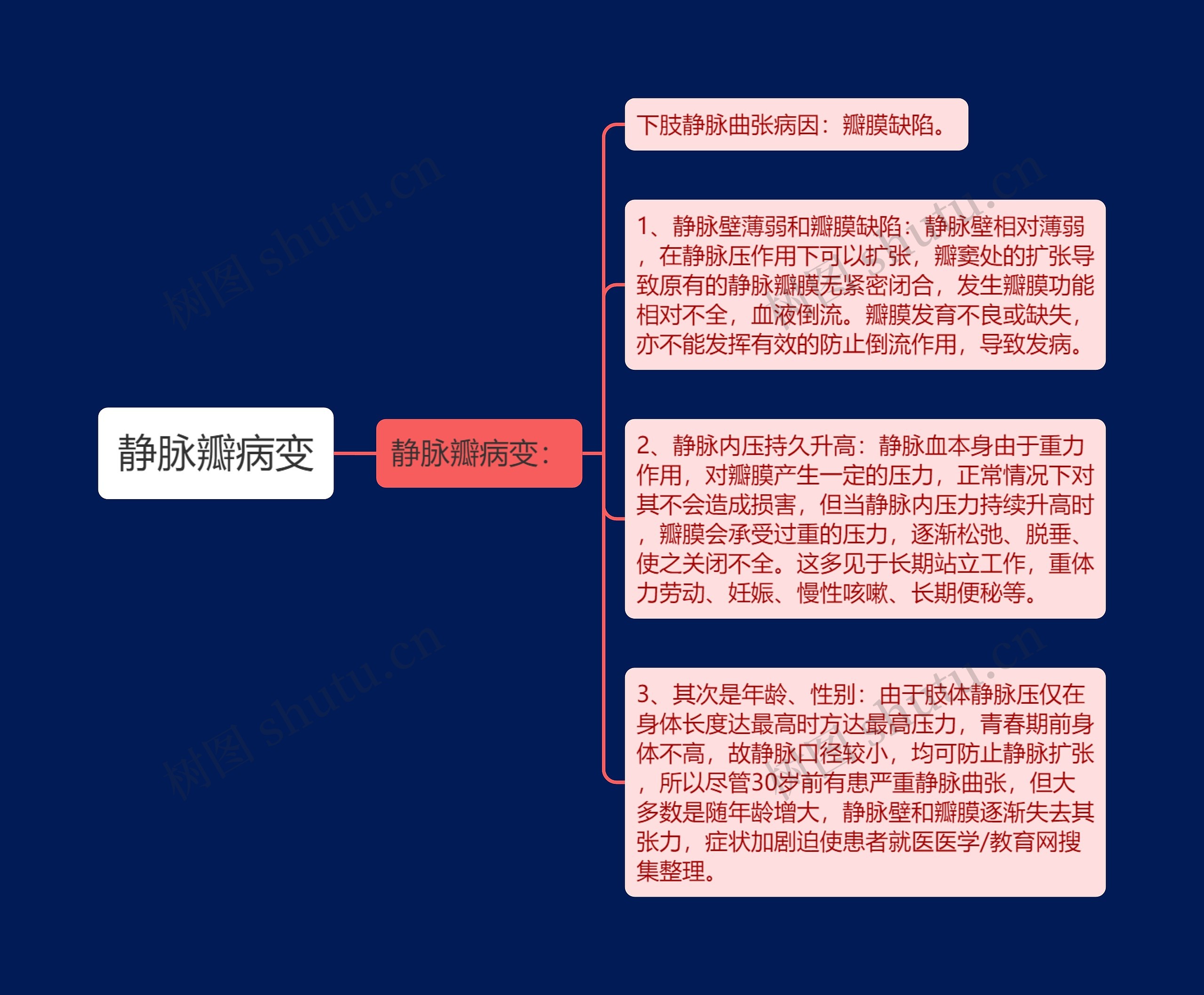 静脉瓣病变 静脉瓣病变