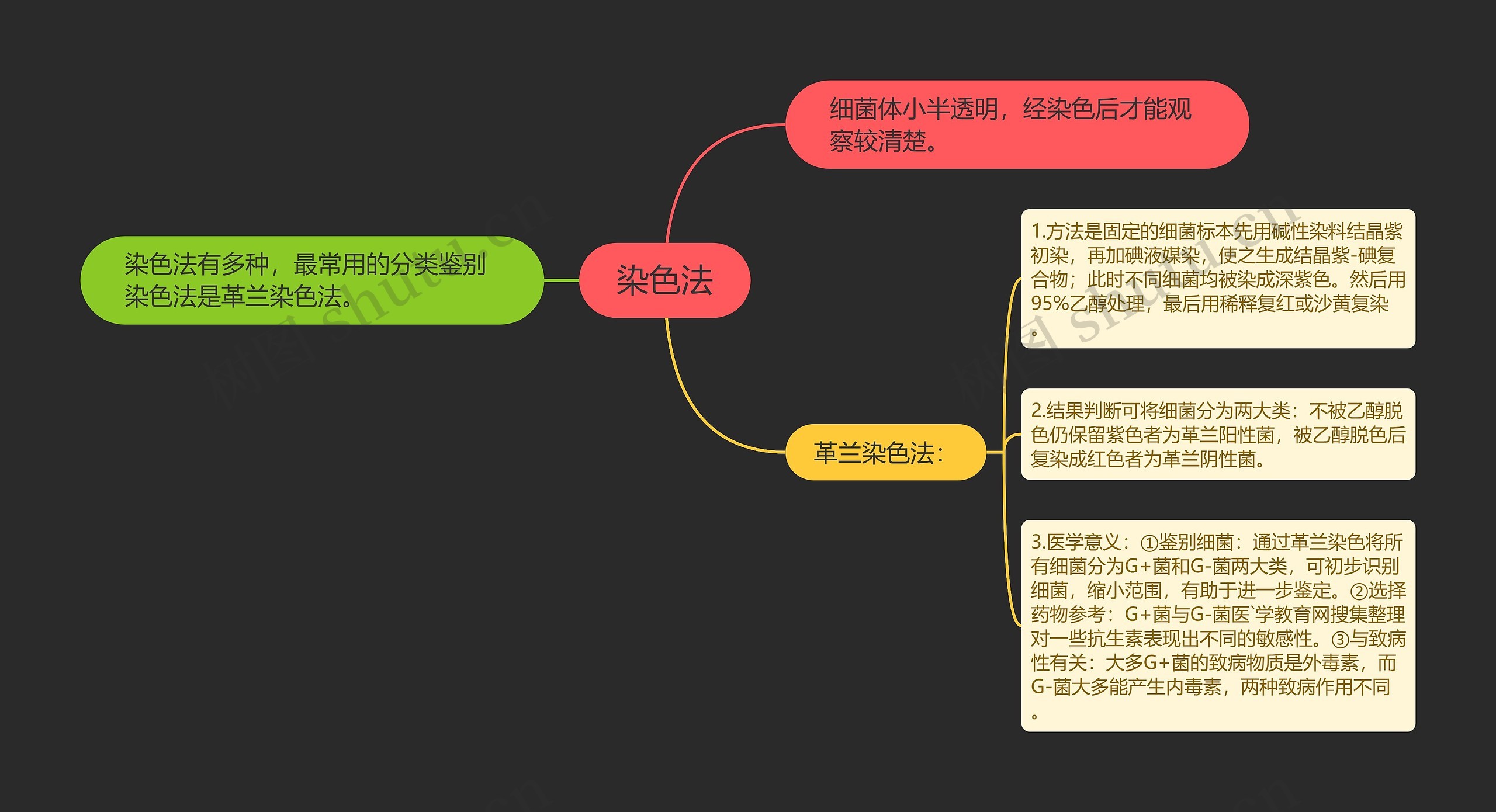 染色法思维导图