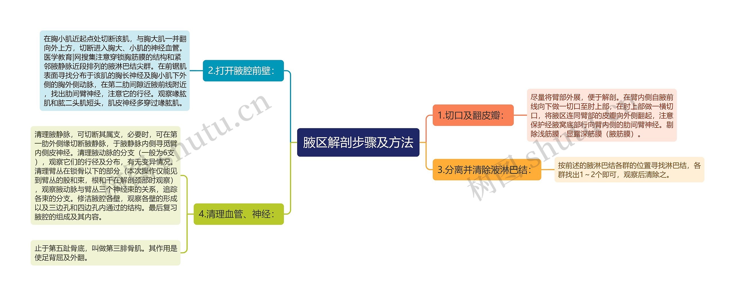 腋区解剖步骤及方法思维导图